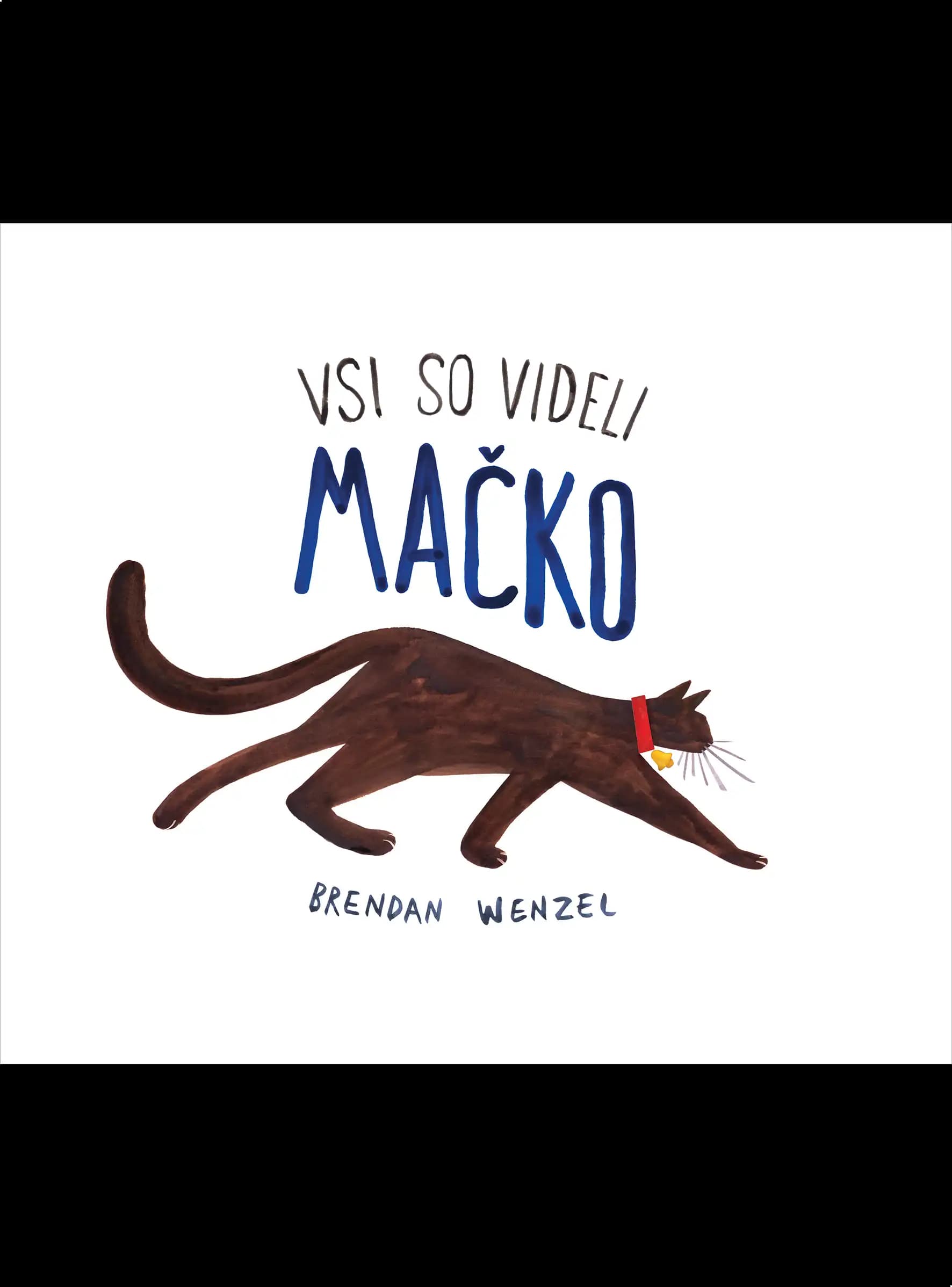 VSI SO VIDELI MAČKO