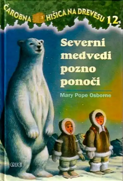SEVERNI MEDVED POZNO PONOČI