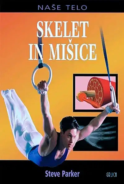 SKELET IN MIŠICE