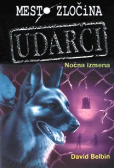 NOČNA IZMENA