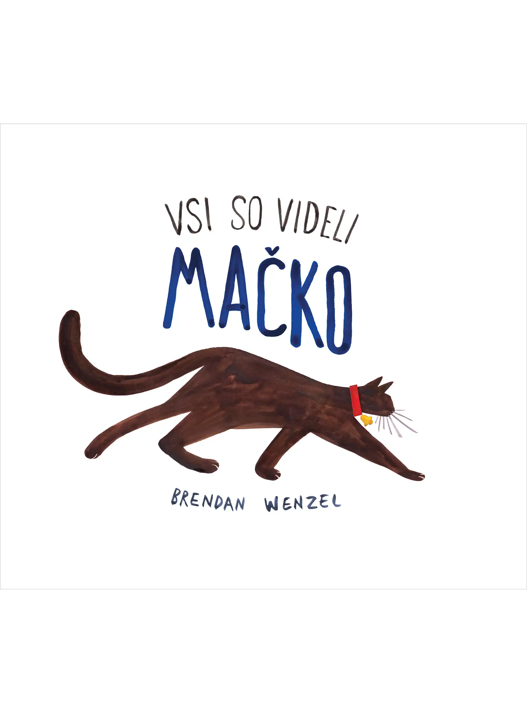 VSI SO VIDELI MAČKO